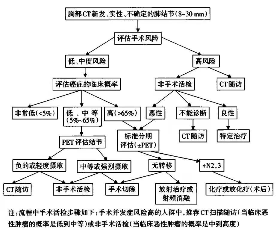 双肺数枚实性结节影，解读与理解