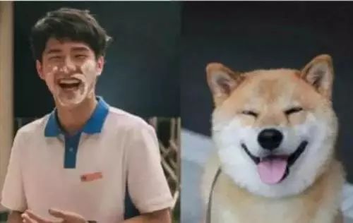 小狼狗贴吧