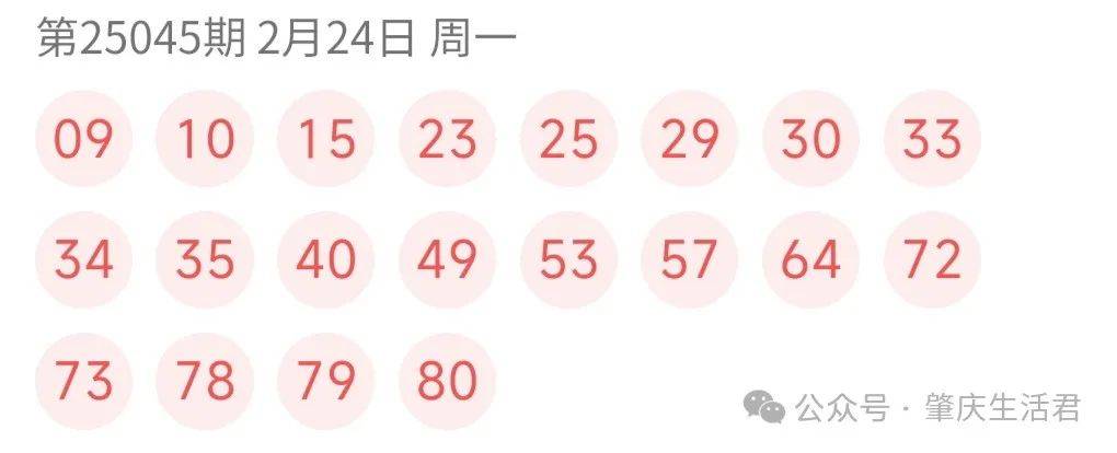 新奥门今晚开奖结果揭秘，生肖运势与彩票奇缘（视频讲解）2020233期澳门开码结果