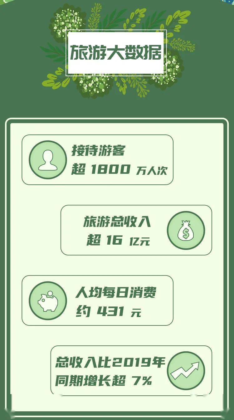 澳门新彩票开奖结果分析，最新数据汇总与深度解读（20年十一月版）奥门今天开彩结果查询