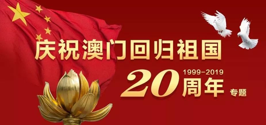 澳门新一期开奖结果揭晓，探索彩票背后的故事与数字的魅力新澳门开奖