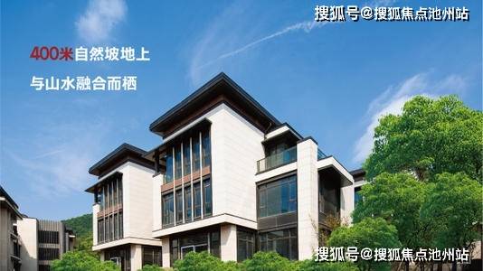 澳门新奥门开彩结果查询官方电话号码及相关信息解析噢门开彩结果