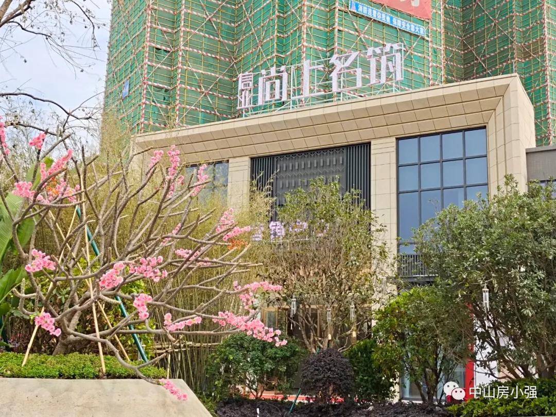 澳门新彩开奖结果查询表最新版，官方网址与彩票资讯解析新澳门开奖