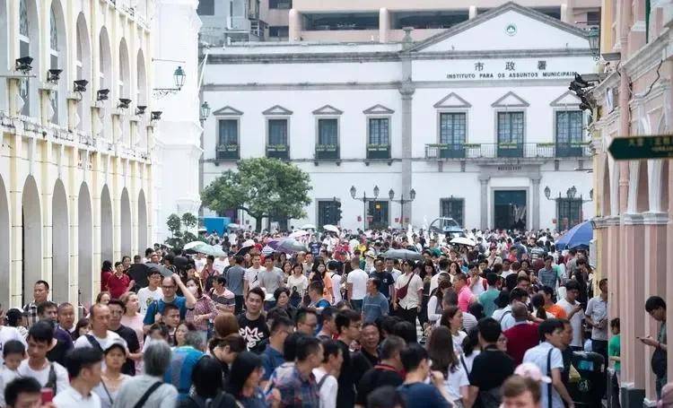 澳门彩票新开奖结果解析，中奖概率与体验感受噢门开彩结果