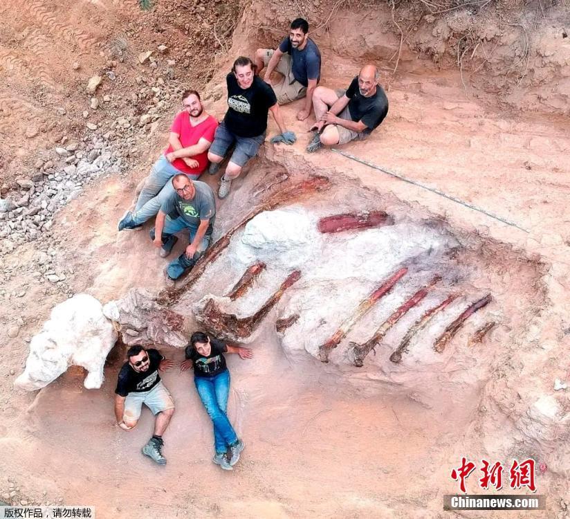 澳门新彩结果分析图片大全，最新动态与视觉盛宴新澳门开奖